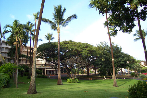 Maui Kaanapali Villas Garden View